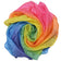 Regenboog