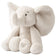 Olifant Sandy