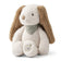 Hond Sandy