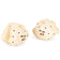 Navy Dot - 19-30KG