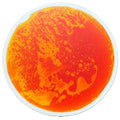 Eduplay Sensory Liquid Tile Round - Orange