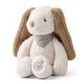 Hond Sandy