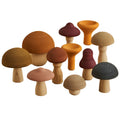 Raduga Grez Mushrooms