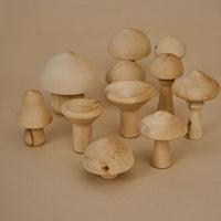 Raduga Grez Mushrooms Naturel Raduga Grez