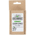 Greenminds Schuursponzen 2 stuks