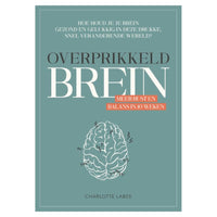 Overprikkeld Brein-min
