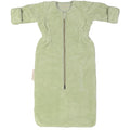 Teddy Olive