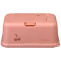 Funkybox Billendoekjes Box Peachy Roze Kers