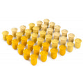 Grapat Mandala tulpen – 36 stuks