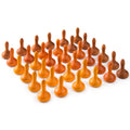 Grapat Mandala pompoenen – 36 stuks