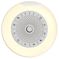 Numsy Mini White Noise Slaaptrainer