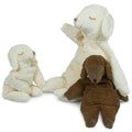 Senger Naturwelt Knuffel Met Warmtekussen Schaap - Klein - Wit
